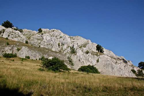 White Cliffs