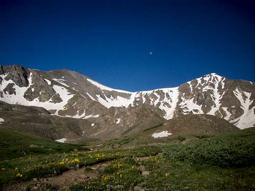Grays (L) and Torreys (R)