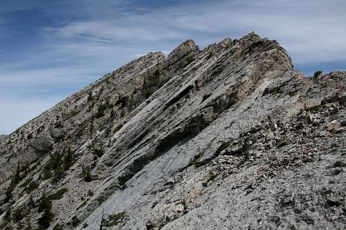 Cave Mountain-- Summit Ridge