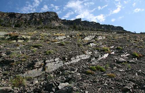 Scree and Cliffs