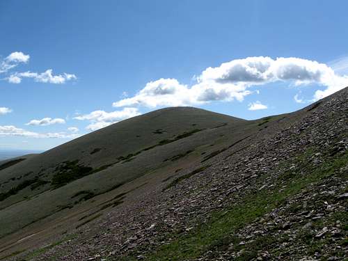 Bison Mountain
