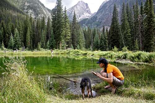 Resting by beaver ponds