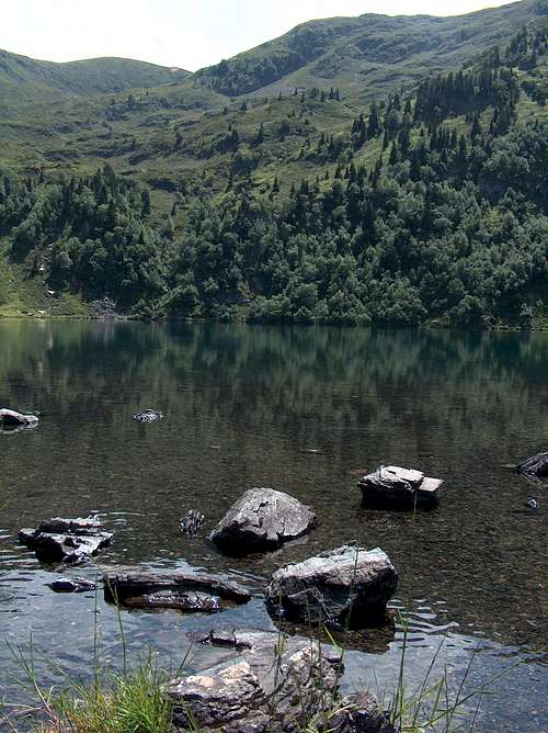 The shore of the lake