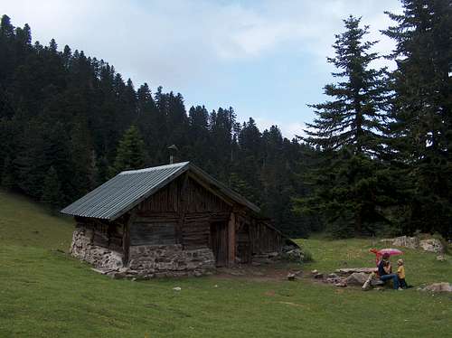 Near the wooden hut 