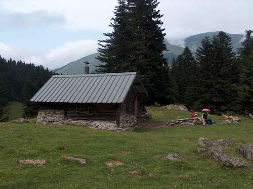 Near the wooden hut 