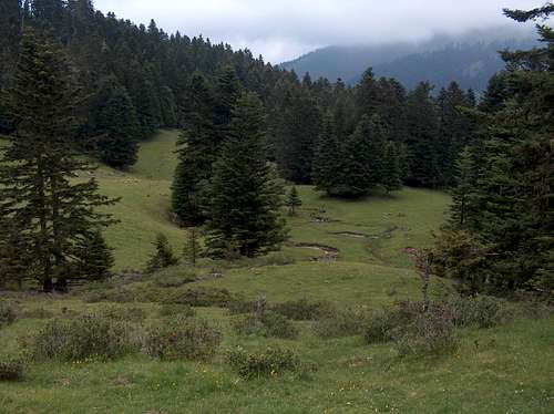 The meadow below the wooden hut and way back to the main valley