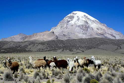 Sajama from near the main road