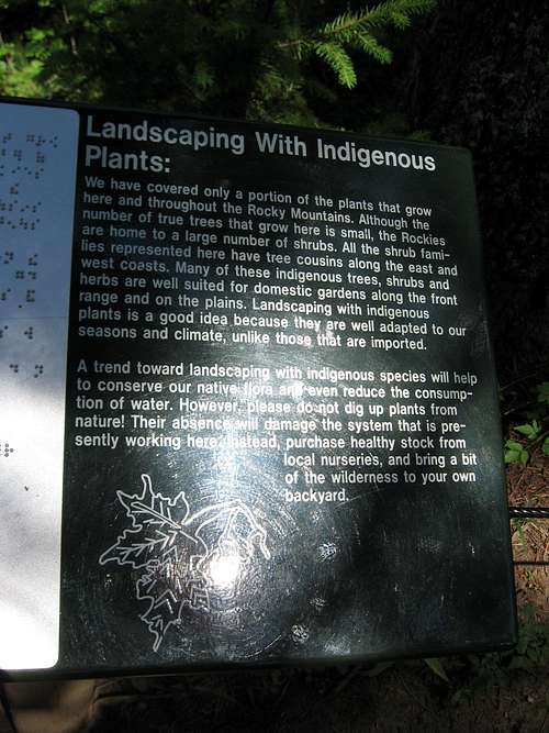 Landscaping with indigenous plants