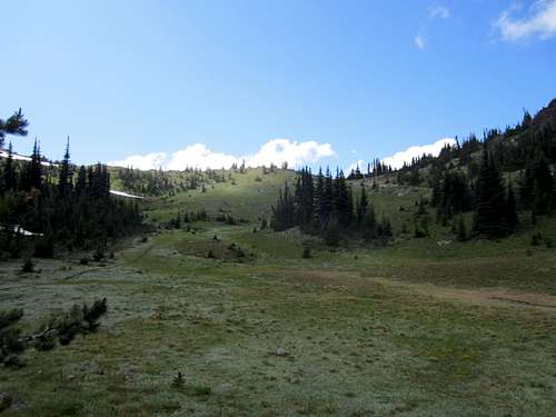Marmot Pass meadow