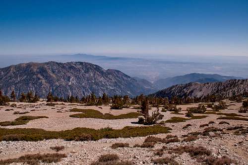 View south from Mount Baldy