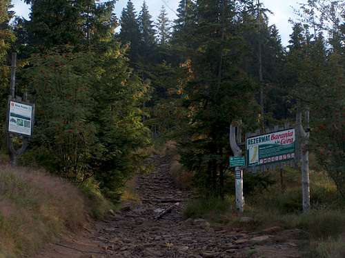 Trail to Barania Góra from the Przysłop hut