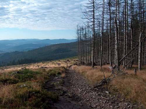 Ridge trail from Barania Góra to Magurka Wiślańska