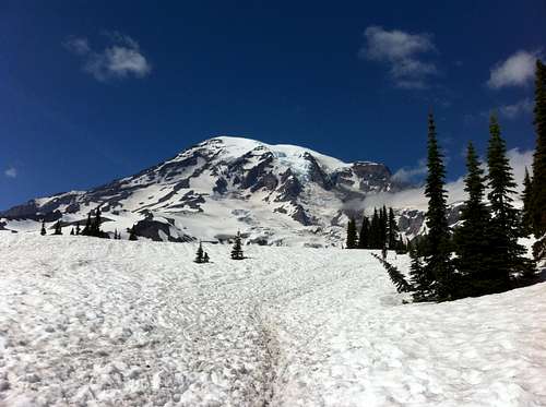 every thing is better twice (Mt. Rainier)
