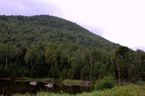 Adirondack Mountain and Pond