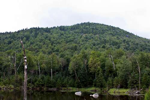 Adirondack Mountain and Pond Scene