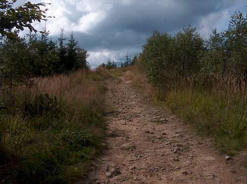 Trail on the ridge of Malinów