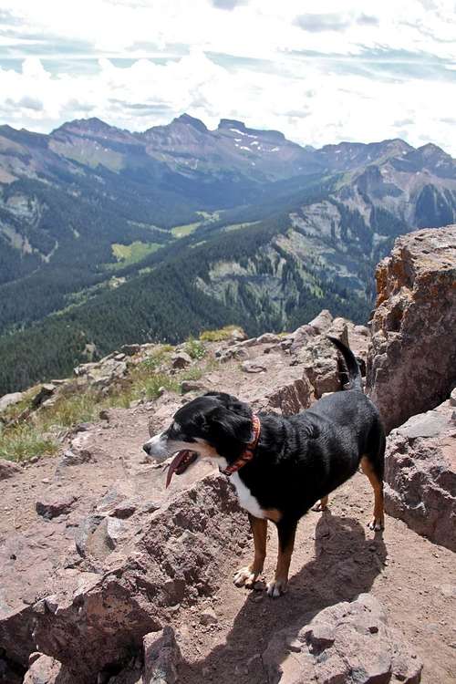 Duchess on top of Courthouse Mountain