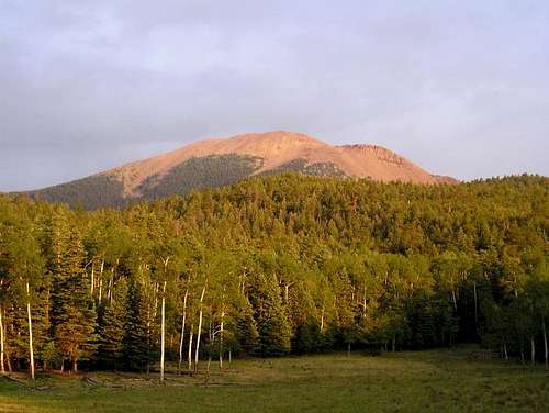 Baldy Mountain. July 2003