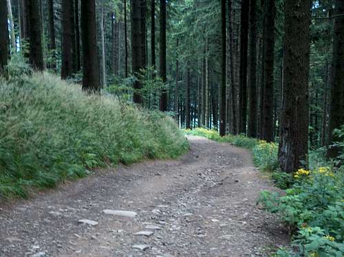 Track leading to the mountain hut on Stożek Wielki