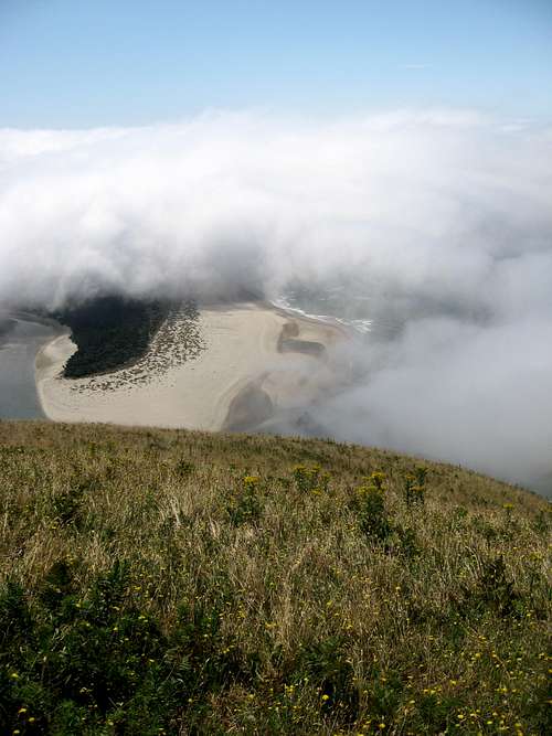 Above the clouds on Cascade Head
