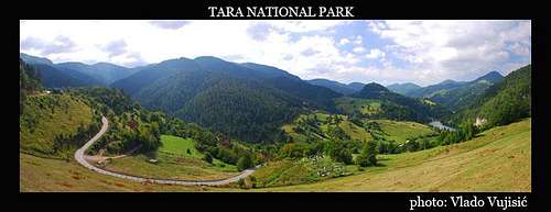 Tara mountain
