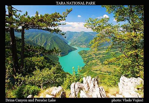 Tara National Park