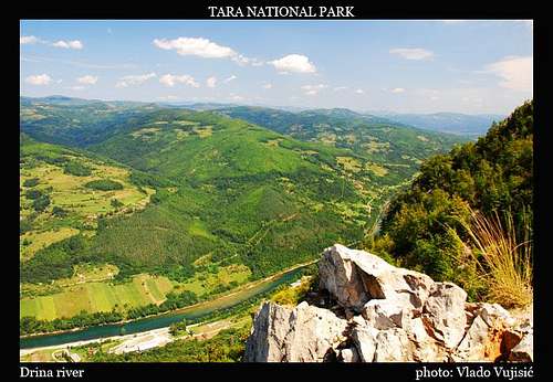 Tara view to Drina River