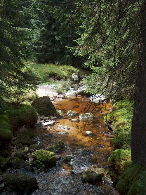 Beautiful stream near Polana Izerska