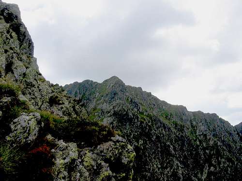 Negoiu peak from Custura Saratii