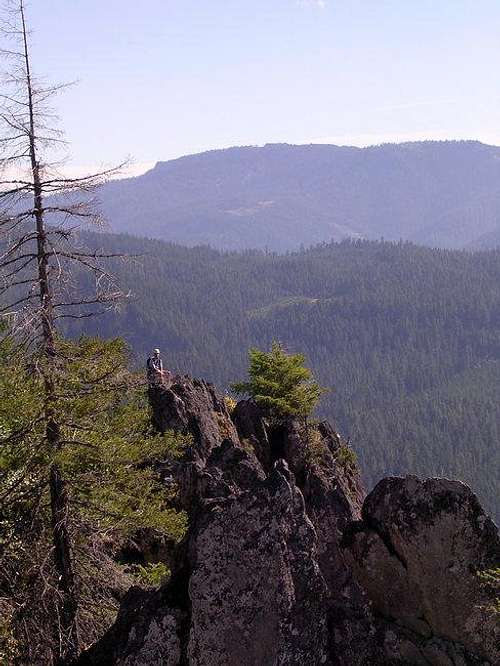 View from fire lookout tower...