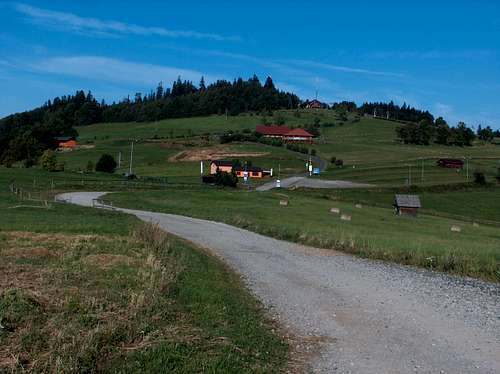 The road to the hut of Łysa Góra
