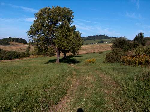 Trail between Łysa Góra and Skopiec