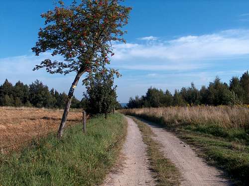 Trail near Skopiec