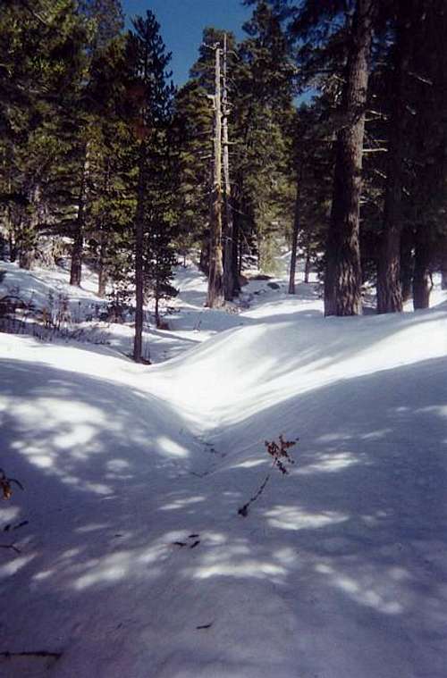 Marion Mt. trail, April 2000
