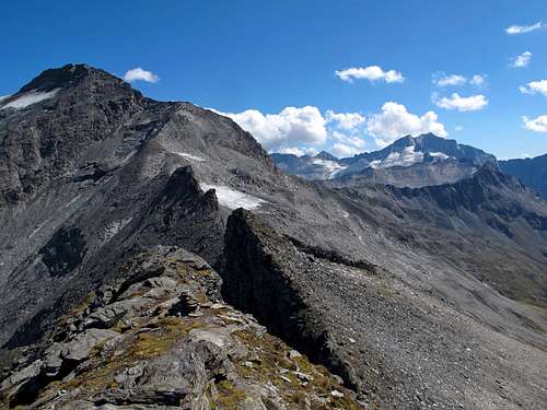 Ankogel and Hochalmspitze seen from the summit of Grauleitenspitze