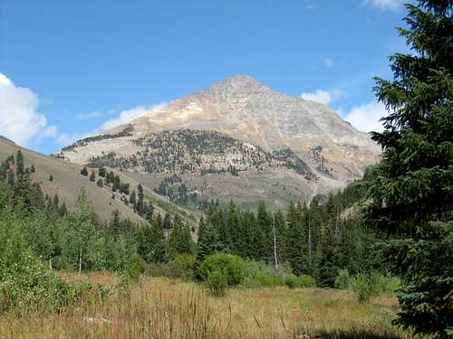 Cobb  Peak. Pioneer Basin, Idaho