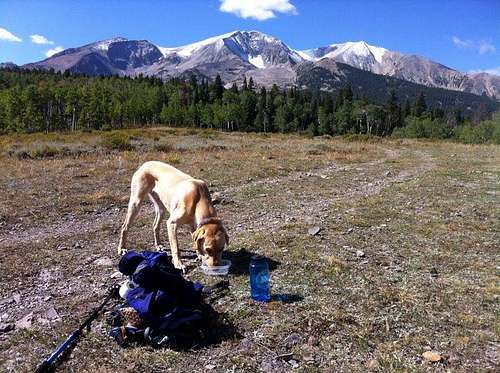 Cooper and I starting up Mt Sopris, CO