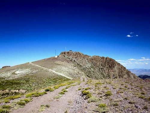The summit of Mount Lewis (NV)