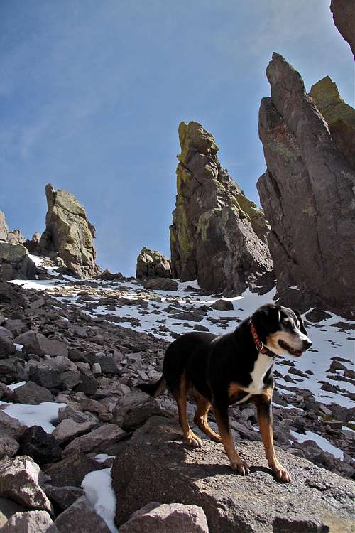Duchess posing in the NW couloir