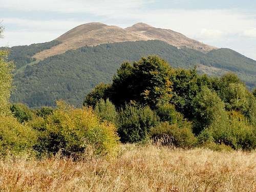 View of Carynska Meadow. Photo taken from Wetlinska Meadow 
