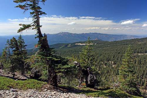 Trinity Alps from Gray Butte 