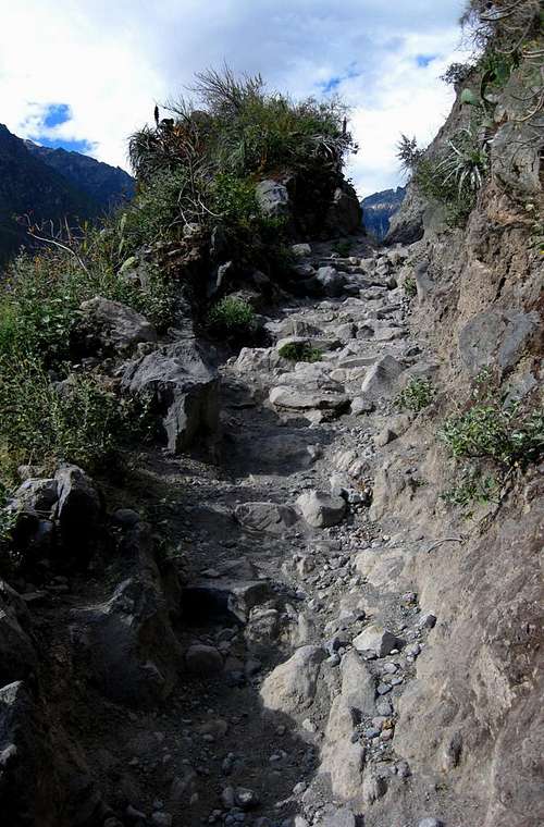 Trail cut into the slopes of Colca Canyon