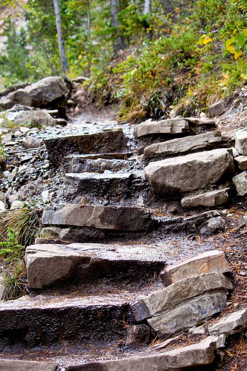 Steps Along Grassi Trail