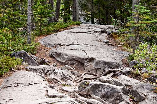 Rocky Shield Path on Grassi Lakes Trail