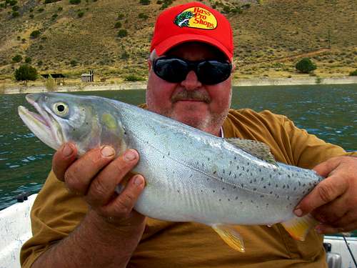 Another Big Cutthroat Trout from Bear lake