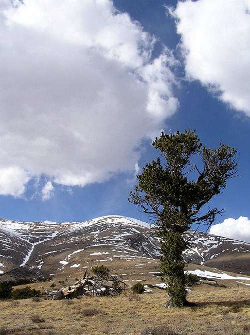 10 Oct 2004 - Mt. Bross from...