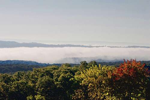 A Rarity - Sideling Hill Fog