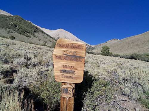 Lush trailhead by Boundary Peak