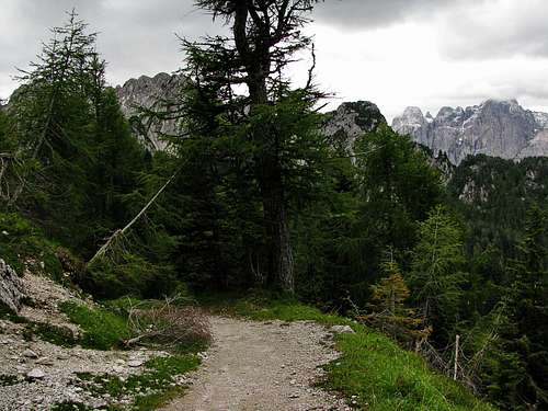 Trail to Cacciatore