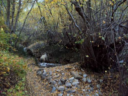 Centerville Canyon Trail